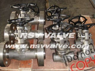Incoloy 825 Gate Valve
